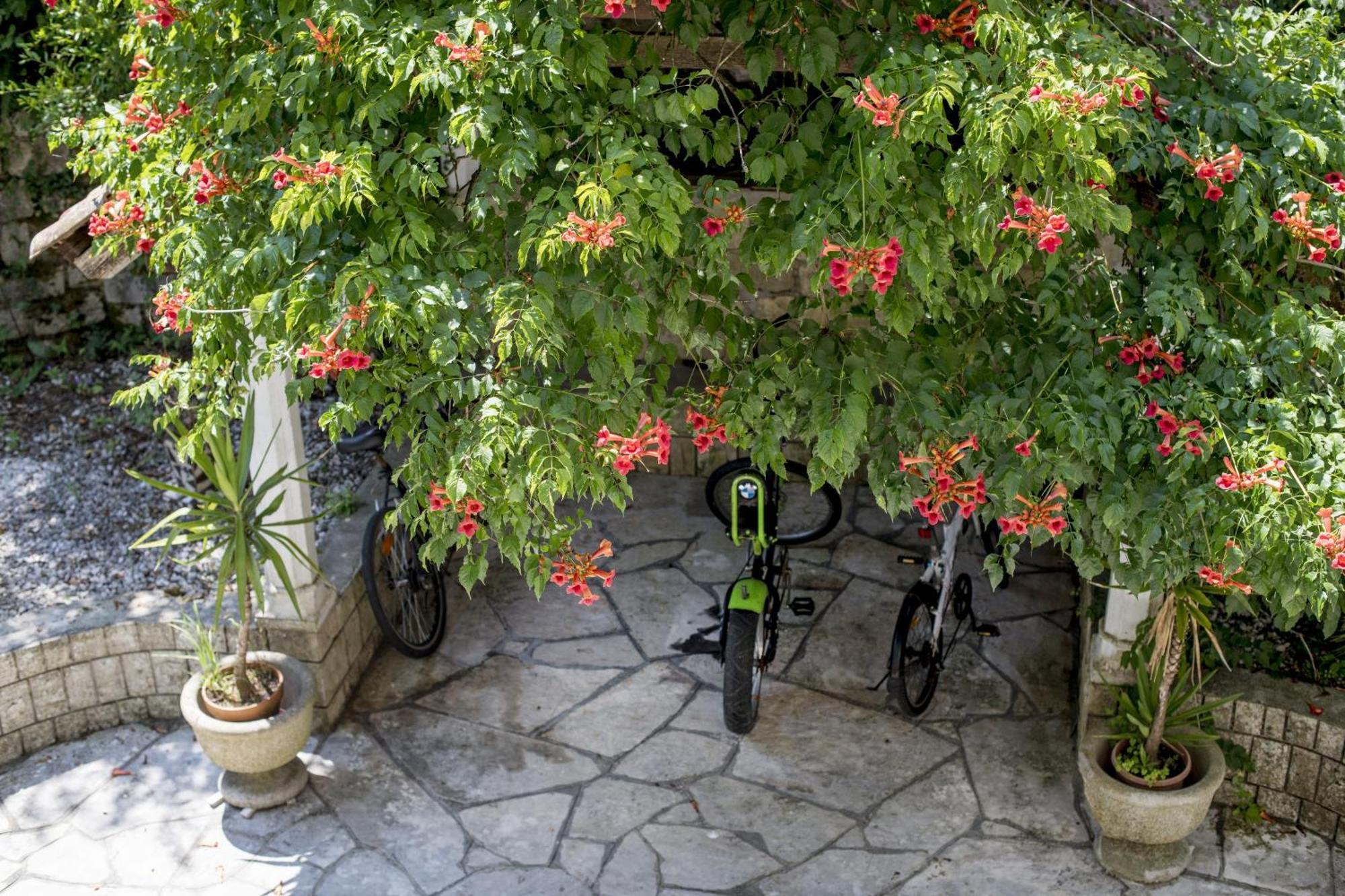 Villa D'Amore Montenegro Donji Morinj Exterior photo